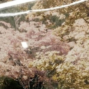 Meet your Posher, Reginald